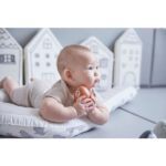 Plan Toys | 5280 | Morsa sempre em pé