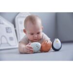 Plan Toys | 5280 | Morsa sempre em pé