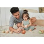 Plan Toys | 5281 | Foca sempre em pé
