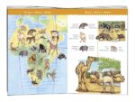 Djeco | 07420 | Puzzle de Observação Animais do Mundo | 100 peças